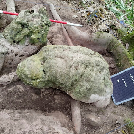 Ανακαλύφθηκε αρχαία πόλη των Μάγια, ηλικίας 2.800 ετών, στη Γουατεμάλα
