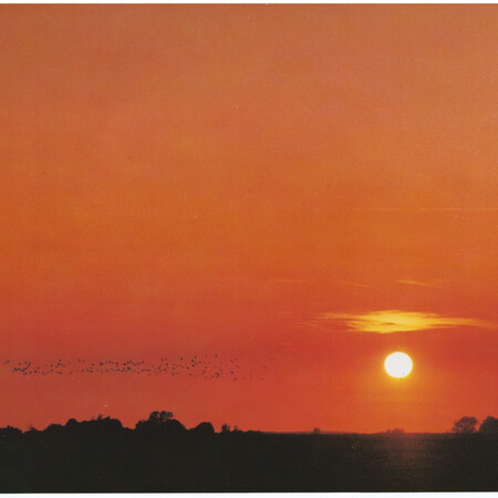 Χάρις Επαμεινώνδα: «Vol. XXXIII» 