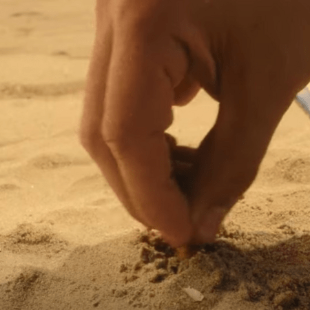 WWF Ελλάς: «ΚΑΠΟΥ ΓΟΠΑ» = Καμπάνια για την πλαστική ρύπανση από αποτσίγαρα στις παραλίες