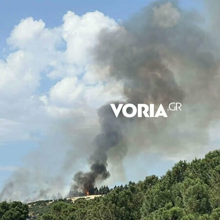 Θεσσαλονίκη: Φωτιά πίσω από το νοσοκομείο «Παπαγεωργίου» – Μαίνεται κοντά σε σπίτια