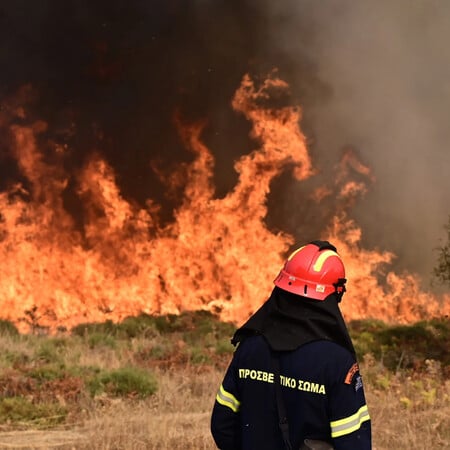 Πυροσβεστική: 46 φωτιές σε δασικές και αγροτικές περιοχές καταγράφηκαν το τελευταίο 24ωρο