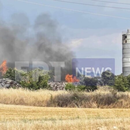 Φωτιά τώρα σε εργοστάσιο ξυλείας στις Σέρρες