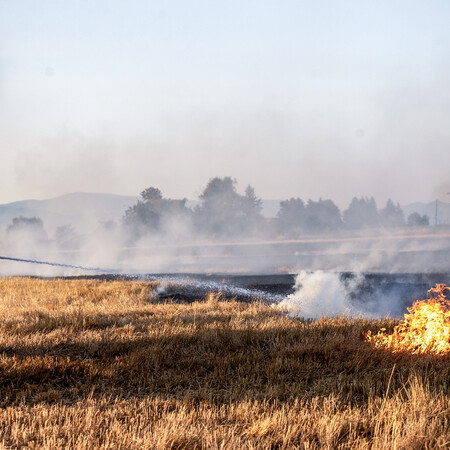 Ακαθάριστα οικόπεδα: Σχεδόν 4.000 καταγγελίες σε 18 ημέρες – Έλεγχοι από την Πυροσβεστική