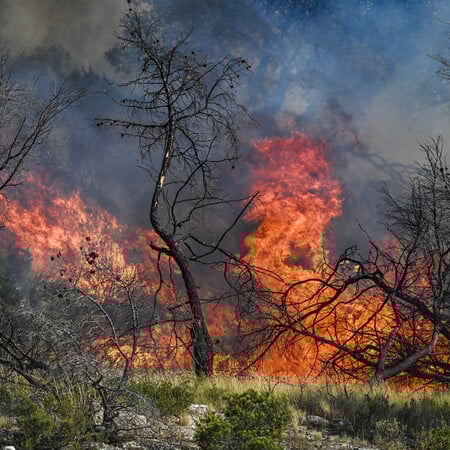 Φωτιά στη Μασσαλία: Πάνω από 110 τραυματίες - Χιλιάδες εκκενώσεις, αεροδρόμιο και νοσοκομείο σε συναγερμό