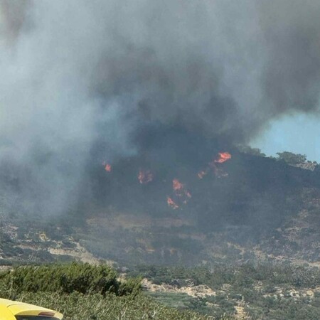 Φωτιά τώρα στις Οινιάδες Αιτωλοακαρνανίας - Καίγεται δάσος