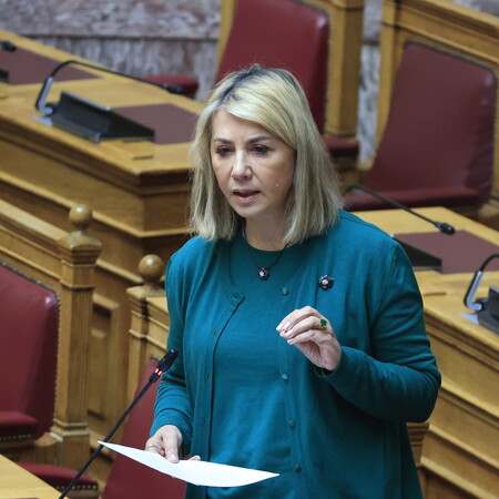 Ζέττα Μακρή: «Βρες λεφτά από επιχειρηματίες, όπως εγώ», κατέθεσε πως την παρότρυνε ο δημοσιογράφος