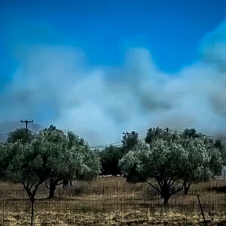 Σε ύφεση η φωτιά στο Αλιβέρι: Πως ξεκίνησε – Συνελήφθη ένας 60χρονος