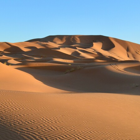 ΣΑΧΑΡΑ ΘΥΣΙΑ ΓΙΟΣ ΓΑΛΛΙΑ