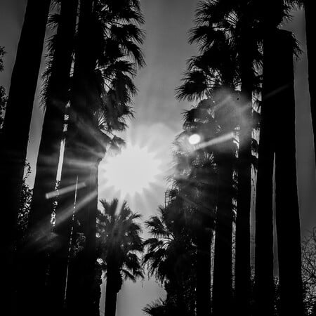 Σκιά, περισσότερη σκιά 