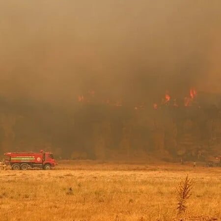 Στο έλεος της φωτιάς η Τουρκία: 10 νεκροί πυροσβέστες - Πύρινα μέτωπα σε Σμύρνη, Μαγνησία, Δορύλαιο, Προύσα
