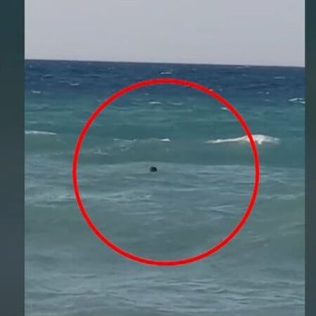Κρήτη: Σερβιτόρος beach bar βούτηξε και έσωσε λουόμενο που παρασύρθηκε από τα ρεύματα