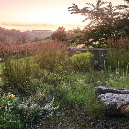 Ένας κήπος στο Hillside του Somerset που σφύζει από ζωή