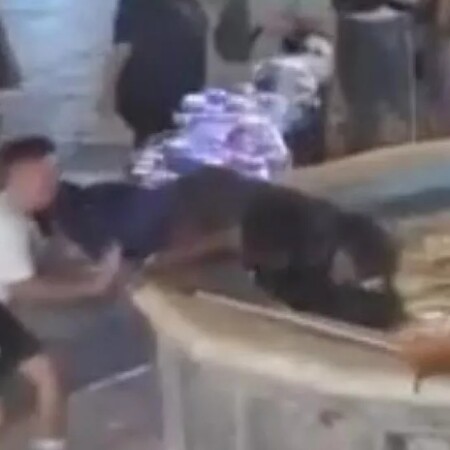 ΡΟΔΟΣ ΑΣΤΕΓΟΣ ΣΙΝΤΡΙΒΑΝΙ