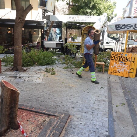 Κλειστός ο Εθνικός Κήπος λόγω των ανέμων - Πτώση δέντρου στην Ερμού