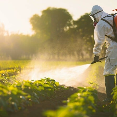 Eπαναστατική μέθοδος: Φυσικά «τροφικά σπρέι» αντί για επικίνδυνα φυτοφάρμακα
