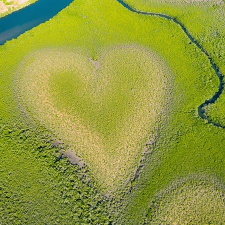 «The Heart of Voh»: 