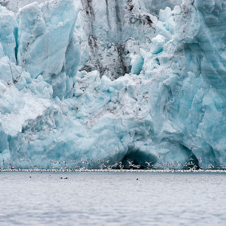 Η Αρκτική και τα μικρόβια: Η κρίση των παγετώνων και οι επιπτώσεις στην κλιματική αλλαγή