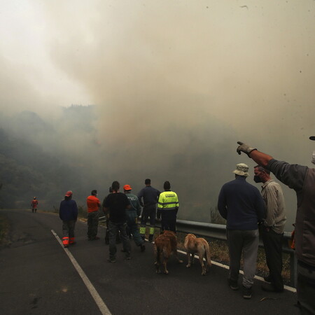 Ο καπνός από τις φωτιές είναι 93% πιο θανατηφόρος από όσο γνωρίζαμε, δείχνει έρευνα