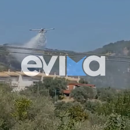 Φωτιά στην Εύβοια: Καίει κοντά σε σπίτια - Σε εξέλιξη οι προσπάθειες κατάσβεσης