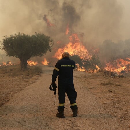 Πολύ υψηλός κίνδυνος πυρκαγιάς σε έξι περιφέρειες την Παρασκευή