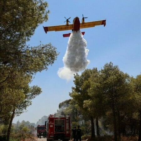 Φωτιά τώρα στην Εύβοια: Επιχειρούν έξι εναέρια μέσα 