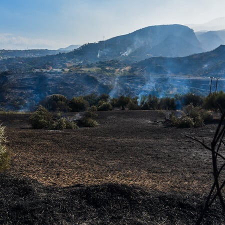 Φωτιές στην Πάτρα: Δορυφορικά δεδομένα δείχνουν αύξηση έως και 12°C στη θερμοκρασία εδάφους