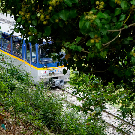 Καλάβρυτα: Ακινητοποιήθηκε σε δύσβατη περιοχή o Οδοντωτός - Σε εξέλιξη ο απεγκλωβισμός των επιβατών
