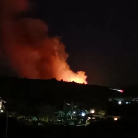 Σαλαμίνα: Η φωτιά καίει κοντά σε σπίτια - Ήχησε το 112 στην περιοχή