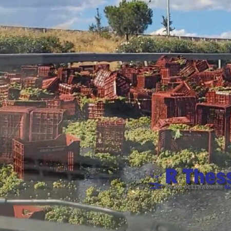 ΣΤΑΦΥΛΙΑ ΤΡΟΧΑΙΟ ΘΕΣΣΑΛΟΝΙΚΗ