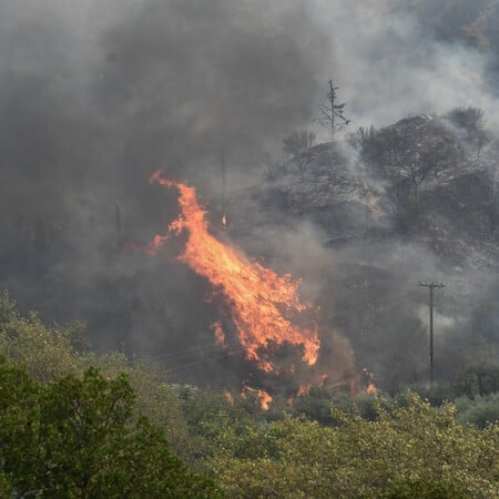 Meteo: Φέτος κάηκαν συνολικά 473.930 στρέμματα - Οι 8 μεγαλύτερες πυρκαγιές του 2025 