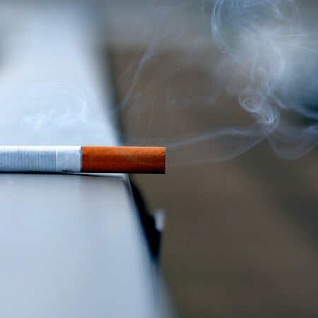 Περιττώματα ζώων, νύχια και μούχλα σε παράνομα καπνικά προϊόντα 