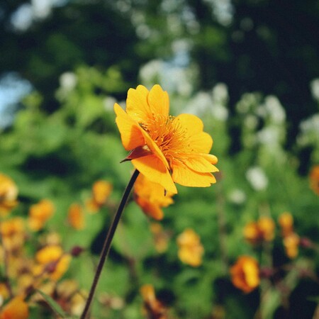Συνεχίζεται ο καλοκαιρινός καιρός: Η πρόγνωση για τη Δευτέρα