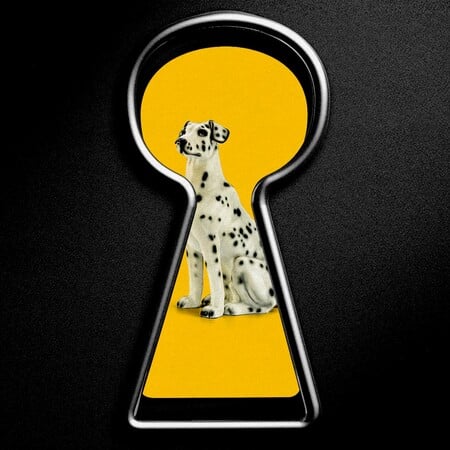 Κι αν το σκυλί μου δεν με θέλει διαρκώς από πάνω του; 