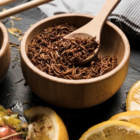 Εντομοφαγία: Αλήθειες και θεωρίες συνομωσίας