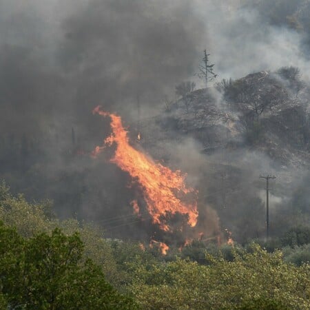 Φωτιά στην Αρκαδία: Επιχειρούν 5 εναέρια μέσα 