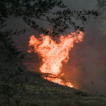 Φωτιά: Συνελήφθη ιερέας για εμπρησμό στο Μαρκοπούλο