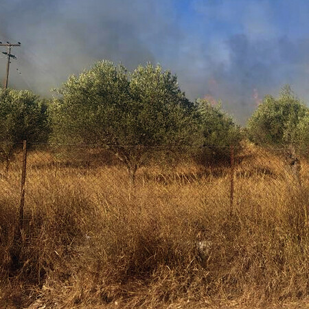 Αργολίδα: Σε ύφεση η φωτιά που ξέσπασε στην περιοχή Κουνούπι