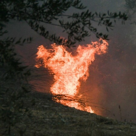Φωτιά στην Αργολίδα: Μήνυμα του 112 για εκκένωση 
