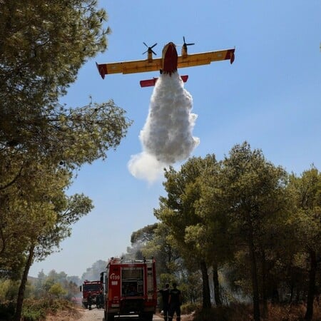 Φωτιά τώρα στην Αργολίδα - Μήνυμα του 112