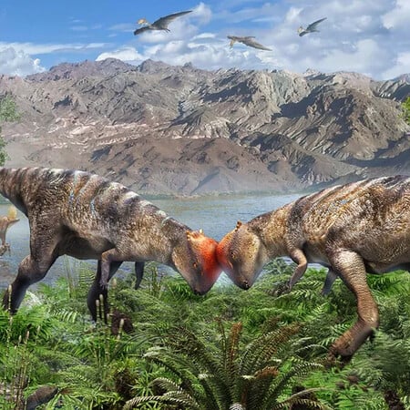 Ανακαλύφθηκε νέο είδος δεινοσαύρου στη Μογγολία: Το παλαιότερο είδος παχυκεφαλόσαυρου