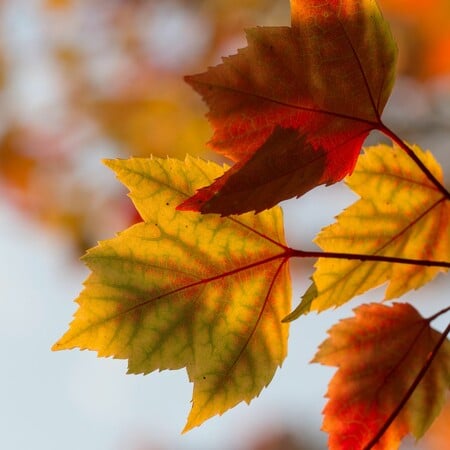 Αλλάζει ο καιρός τις επόμενες ημέρες: Πότε «πέφτει» ο υδράργυρος και πότε αναμένονται βροχοπτώσεις