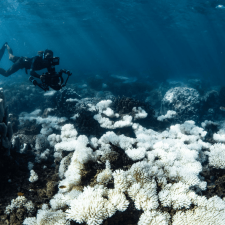 Οι ωκεανοί απέτυχαν στο πρώτο τεστ υγείας: 7 από τα 9 όρια της Γης έχουν ξεπεραστεί