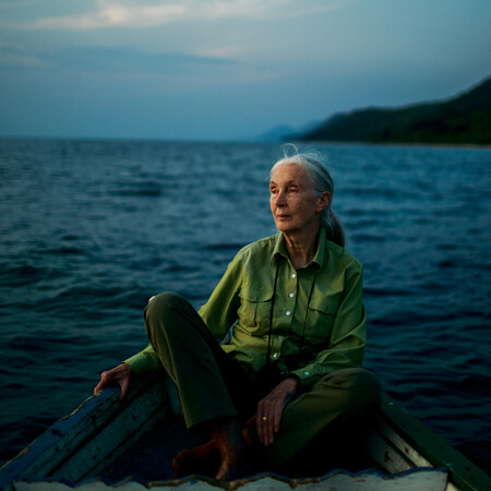 Πέθανε η Τζέιν Γκούντολ, πρωτοπόρος της μελέτης των χιμπαντζήδων, σε ηλικία 91 ετών