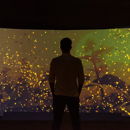 «Βιοποικιλότητα. Όλα συνδέονται»: Η νέα έκθεση του Εθνικού Μουσείου Φυσικής Ιστορίας Γουλανδρή