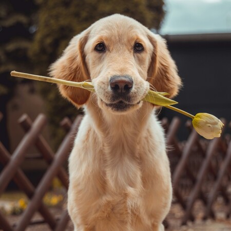 ΠΑΓΚΟΣΜΙΑ ΗΜΕΡΑ ΖΩΩΝ 