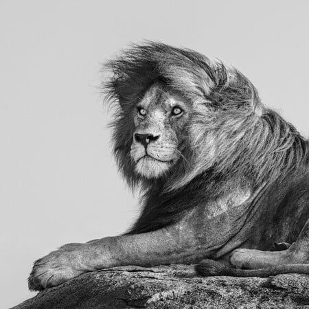 Σκλάβοι στα δεσμά τους. Ένα πολυπόστ του Στάθη Τσαγκαρουσιάνου