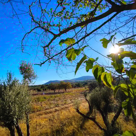 Καιρός σήμερα: Ανεβαίνει η θερμοκρασία σε όλη τη χώρα - Πού θα βρέξει