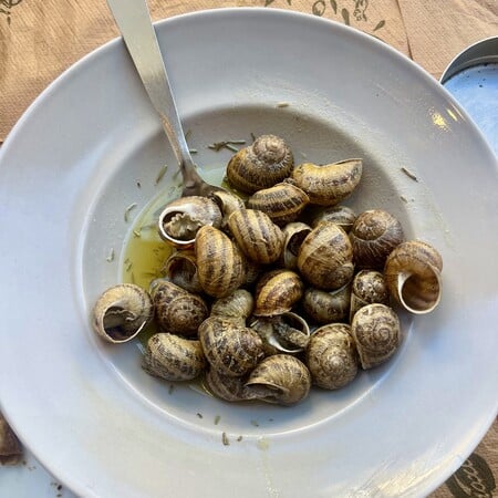 Τα σαλιγκάρια και ένα λάθος αιώνων που οφείλει να διορθωθεί