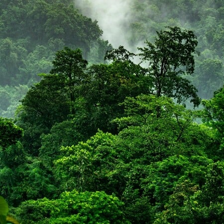 Greenpeace στην COP30: «9 στους 10 πολίτες ζητούν προστασία για την αντιμετώπιση της κλιματικής κρίσης»