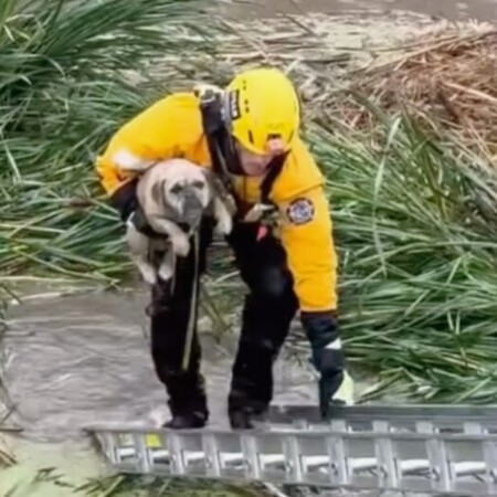 ΚΟΥΤΑΒΙ ΔΙΑΣΩΣΗ ΠΥΡΟΣΒΕΣΤΕΣ